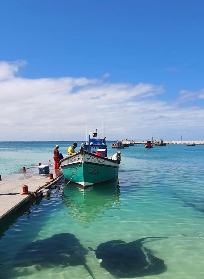 Cliff Haven Otel Struisbaai Dış mekan fotoğraf